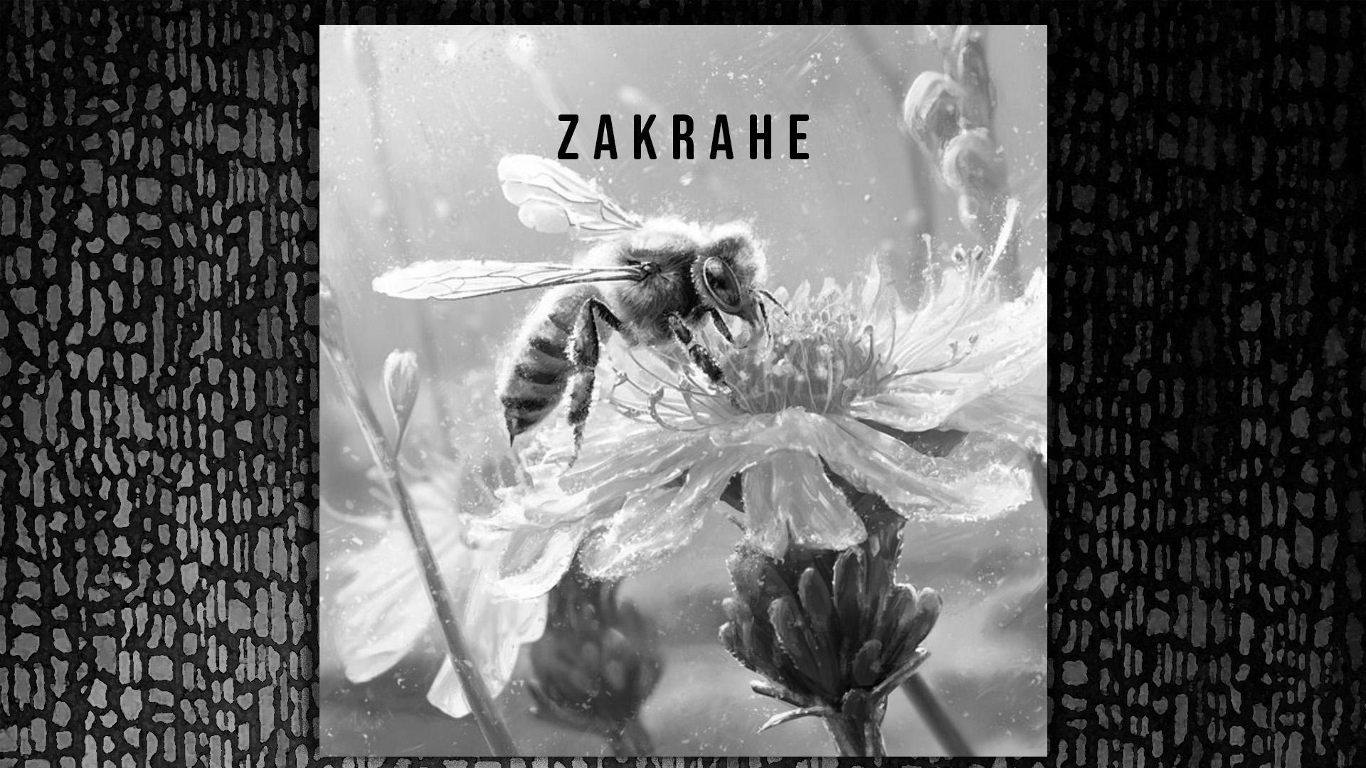 For a season, ZaKrahe